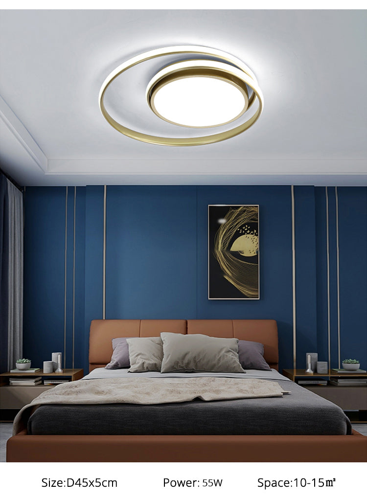 Modern Ceiling Lights LED Lamp