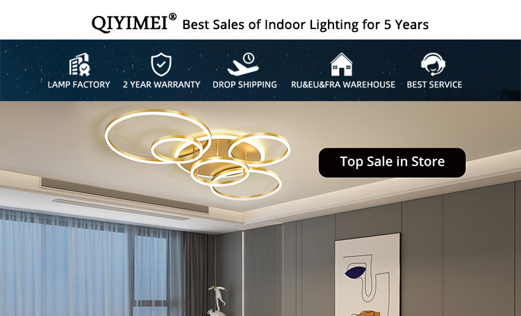 Modern Ceiling Lights LED Lamp